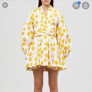 Acler Lella Mini Dress